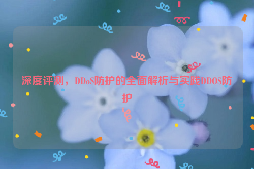 深度评测，DDoS防护的全面解析与实践DDOS防护