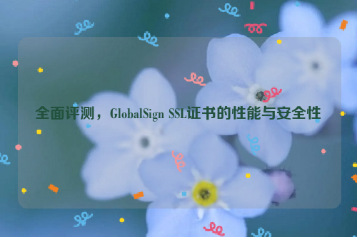 全面评测，GlobalSign SSL证书的性能与安全性