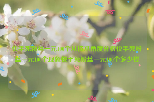 快手死粉丝一元100个从技术角度分析快手死粉丝一元100个现象快手死粉丝一元100个多少钱