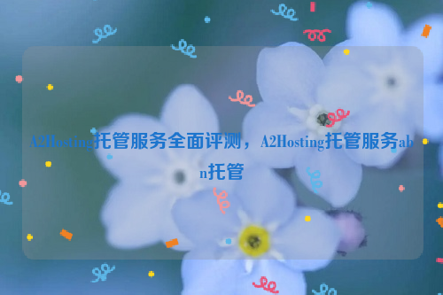 A2Hosting托管服务全面评测，A2Hosting托管服务abn托管