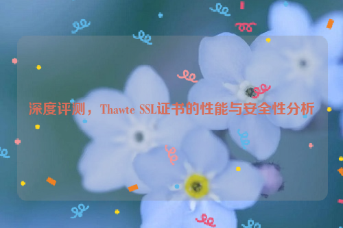 深度评测，Thawte SSL证书的性能与安全性分析