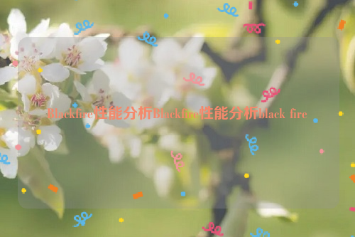 Blackfire性能分析Blackfire性能分析black fire