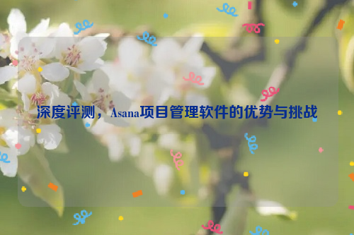 深度评测，Asana项目管理软件的优势与挑战