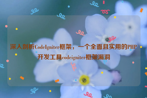 深入剖析CodeIgniter框架，一个全面且实用的PHP开发工具codeigniter框架漏洞