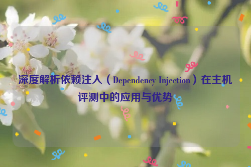 深度解析依赖注入（Dependency Injection）在主机评测中的应用与优势