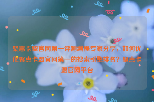 聚惠卡盟官网第一评测编程专家分享，如何优化聚惠卡盟官网第一的搜索引擎排名？聚惠卡盟官网平台