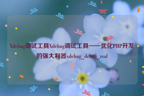 Xdebug调试工具Xdebug调试工具——优化PHP开发的强大利器xdebug_debug_zval