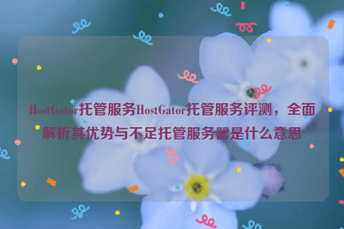 HostGator托管服务HostGator托管服务评测，全面解析其优势与不足托管服务器是什么意思