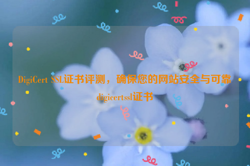 DigiCert SSL证书评测，确保您的网站安全与可靠digicertssl证书