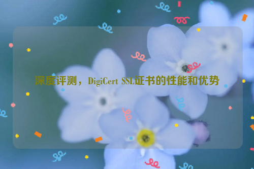 深度评测，DigiCert SSL证书的性能和优势