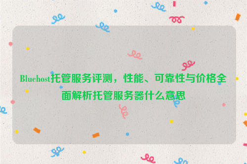 Bluehost托管服务评测，性能、可靠性与价格全面解析托管服务器什么意思