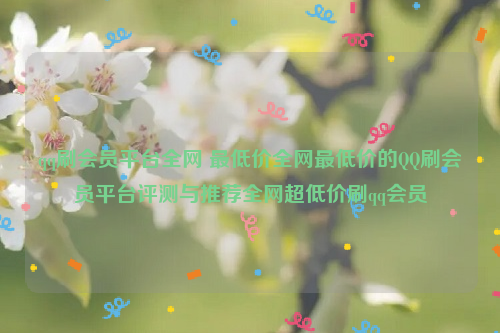 qq刷会员平台全网 最低价全网最低价的QQ刷会员平台评测与推荐全网超低价刷qq会员