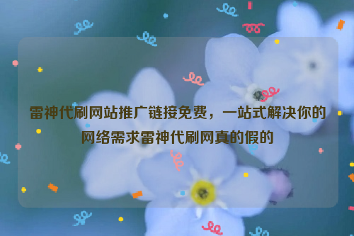 雷神代刷网站推广链接免费，一站式解决你的网络需求雷神代刷网真的假的