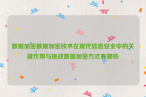 数据加密数据加密技术在现代信息安全中的关键作用与挑战数据加密方式有哪些