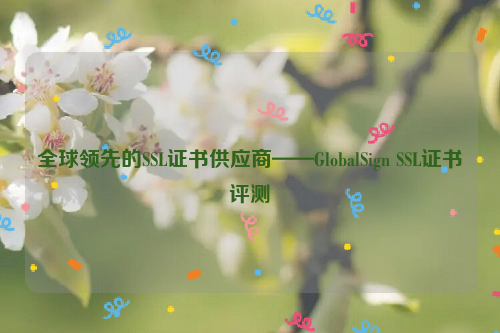 全球领先的SSL证书供应商——GlobalSign SSL证书评测