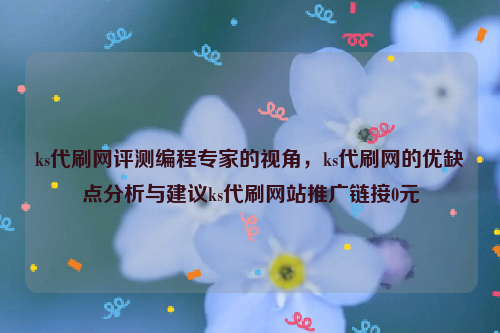 ks代刷网评测编程专家的视角，ks代刷网的优缺点分析与建议ks代刷网站推广链接0元