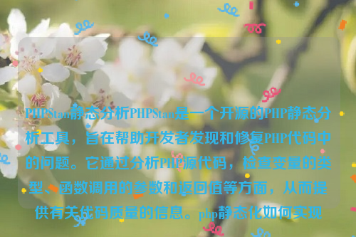 PHPStan静态分析PHPStan是一个开源的PHP静态分析工具，旨在帮助开发者发现和修复PHP代码中的问题。它通过分析PHP源代码，检查变量的类型、函数调用的参数和返回值等方面，从而提供有关代码质量的信息。php静态化如何实现