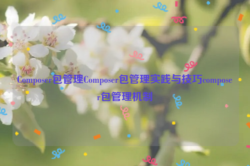 Composer包管理Composer包管理实践与技巧composer包管理机制