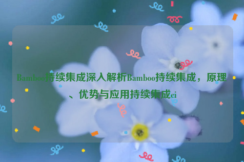 Bamboo持续集成深入解析Bamboo持续集成，原理、优势与应用持续集成ci