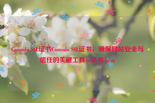 Comodo SSL证书Comodo SSL证书，确保网站安全与信任的关键工具ssl证书 pem