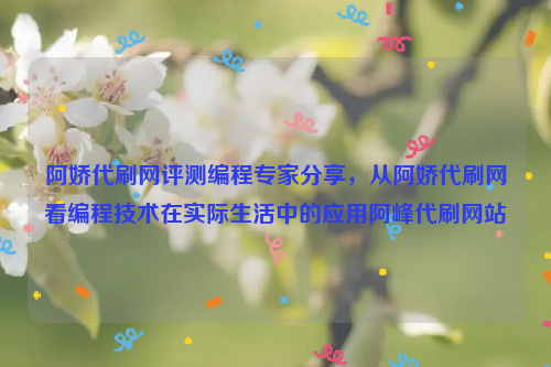 阿娇代刷网评测编程专家分享，从阿娇代刷网看编程技术在实际生活中的应用阿峰代刷网站