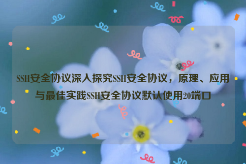 SSH安全协议深入探究SSH安全协议，原理、应用与最佳实践SSH安全协议默认使用20端口