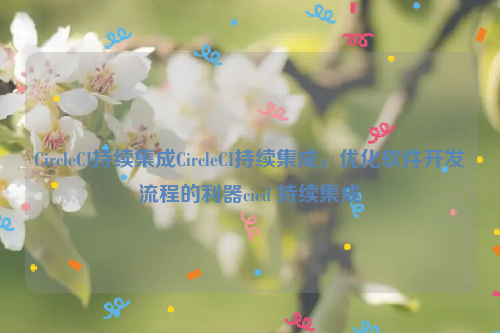 CircleCI持续集成CircleCI持续集成，优化软件开发流程的利器cicd 持续集成