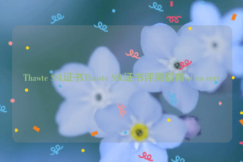 Thawte SSL证书Thawte SSL证书评测指南ssl ca cert