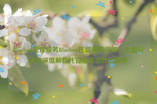 Bluehost托管服务Bluehost托管服务评测，全面分析与深度解析托管服务器什么意思