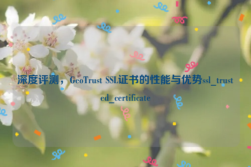 深度评测，GeoTrust SSL证书的性能与优势ssl_trusted_certificate