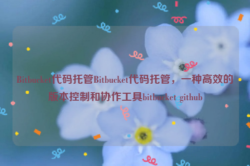 Bitbucket代码托管Bitbucket代码托管，一种高效的版本控制和协作工具bitbucket github