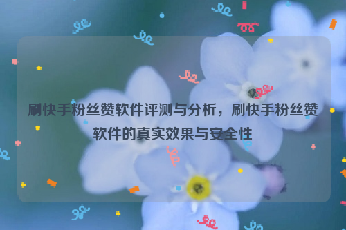 刷快手粉丝赞软件评测与分析，刷快手粉丝赞软件的真实效果与安全性