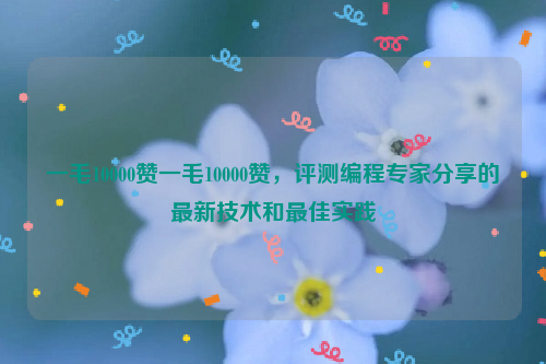 一毛10000赞一毛10000赞，评测编程专家分享的最新技术和最佳实践