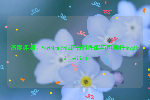 深度评测，VeriSign SSL证书的性能与可靠性invaild ssl certificate