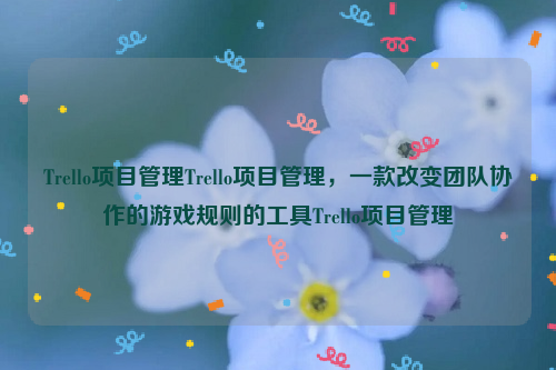 Trello项目管理Trello项目管理，一款改变团队协作的游戏规则的工具Trello项目管理