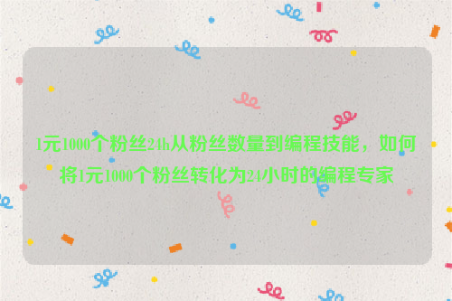 1元1000个粉丝24h从粉丝数量到编程技能，如何将1元1000个粉丝转化为24小时的编程专家