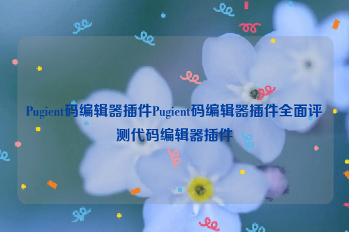 Pugient码编辑器插件Pugient码编辑器插件全面评测代码编辑器插件