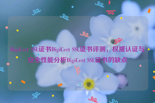 DigiCert SSL证书DigiCert SSL证书评测，权威认证与安全性能分析DigiCert SSL证书的缺点