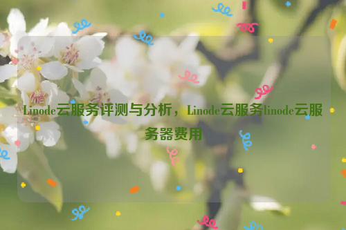 Linode云服务评测与分析，Linode云服务linode云服务器费用