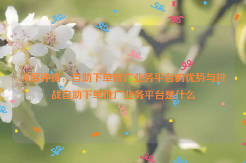 深度评测，自助下单推广业务平台的优势与挑战自助下单推广业务平台是什么