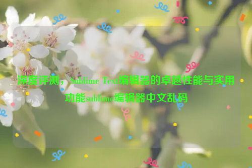 深度评测，Sublime Text编辑器的卓越性能与实用功能sublime编辑器中文乱码