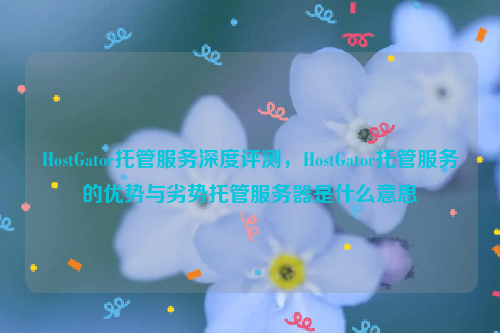 HostGator托管服务深度评测，HostGator托管服务的优势与劣势托管服务器是什么意思