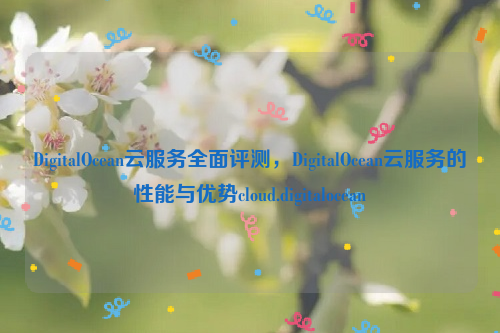 DigitalOcean云服务全面评测，DigitalOcean云服务的性能与优势cloud.digitalocean