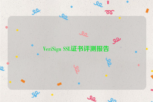 VeriSign SSL证书评测报告