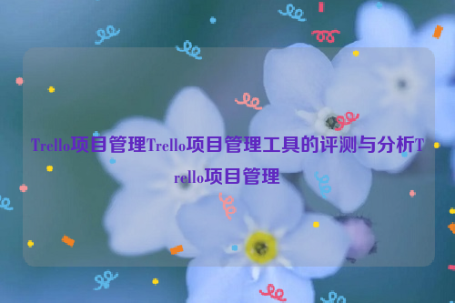 Trello项目管理Trello项目管理工具的评测与分析Trello项目管理