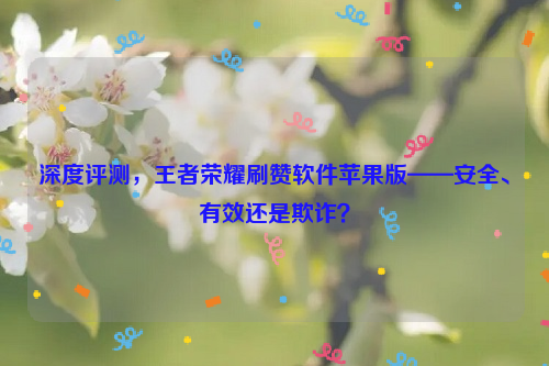 深度评测，王者荣耀刷赞软件苹果版——安全、有效还是欺诈？