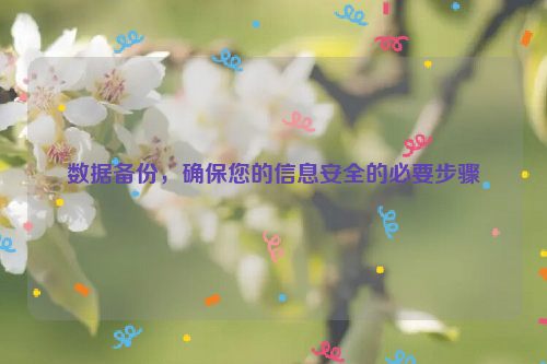 数据备份，确保您的信息安全的必要步骤