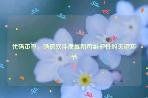 代码审查，确保软件质量和可维护性的关键环节