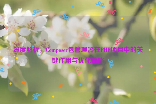 深度解析，Composer包管理器在PHP项目中的关键作用与优化策略