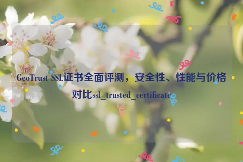 GeoTrust SSL证书全面评测，安全性、性能与价格对比ssl_trusted_certificate